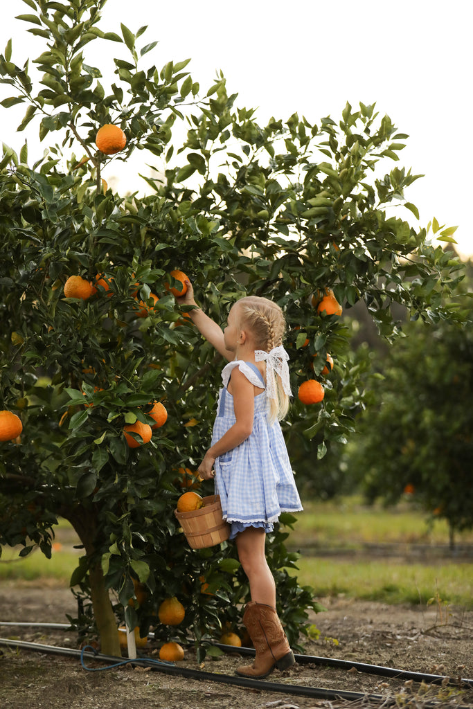 Little girl picking citrus at Cruce family farms